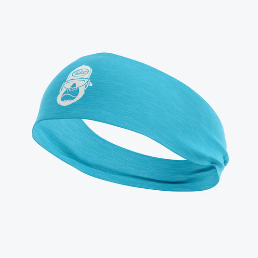 Light Blue Kong Headband