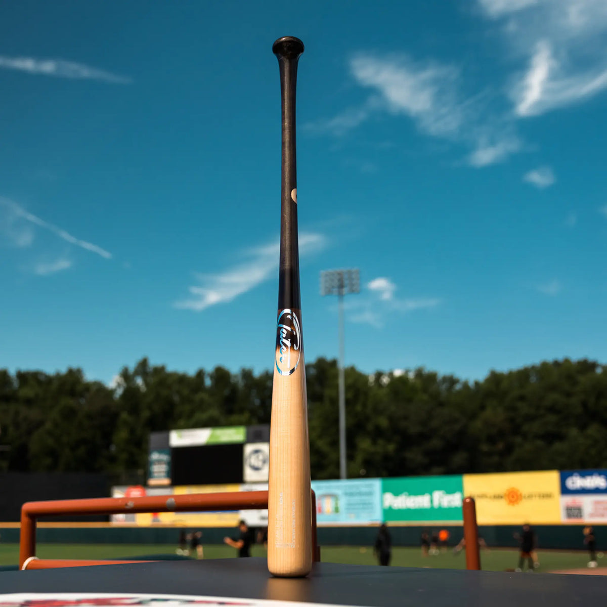 This image features a Tater X4 Pro Maple bat standing upright on the edge of a baseball field. The bat&#39;s handle points skyward while the backdrop captures the stadium seating and clear blue sky, indicating its popularity in tournaments and showcases as a Victus wood bat alternative.