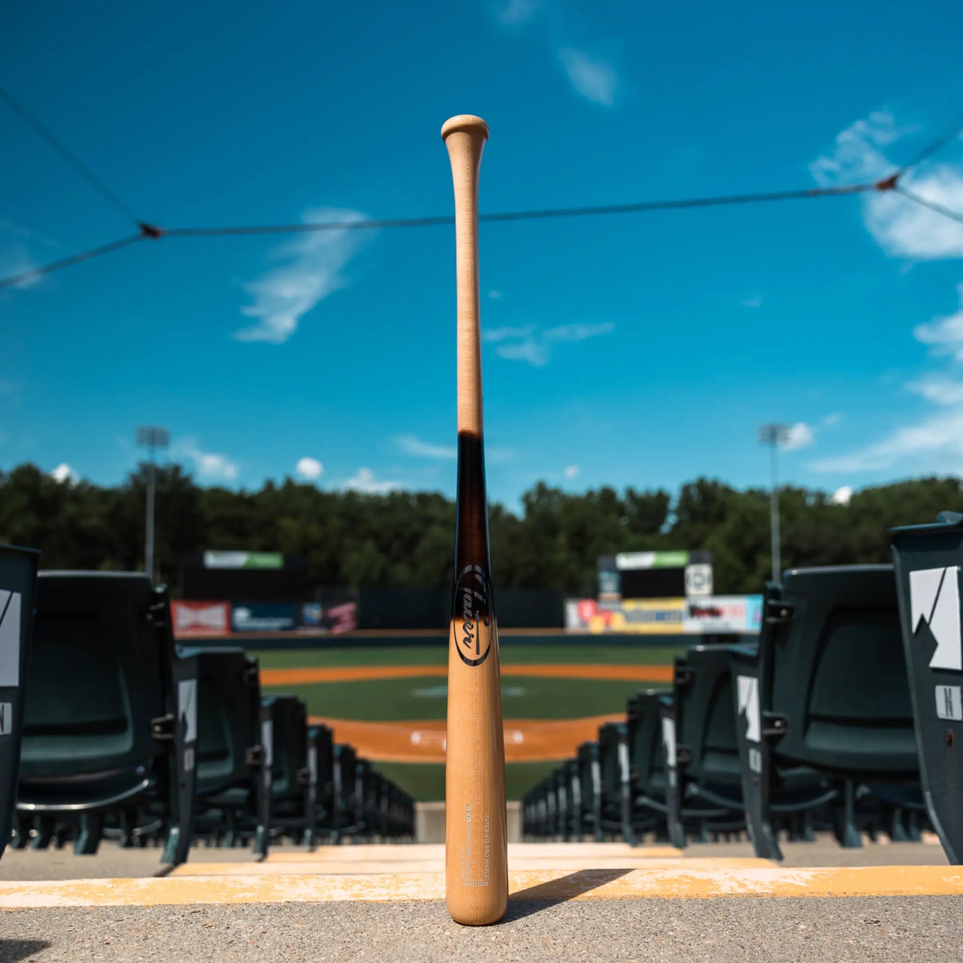 The image showcases a Tater X12 Pro Maple bat standing upright on the stands behind home plate, set against the backdrop of an empty baseball stadium under a vivid blue sky. The bat's natural finish and prominent Tater logo reflect the bat's quality.