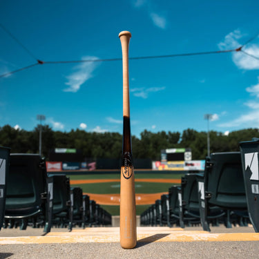 The image showcases a Tater X12 Pro Maple bat standing upright on the stands behind home plate, set against the backdrop of an empty baseball stadium under a vivid blue sky. The bat's natural finish and prominent Tater logo reflect the bat's quality.